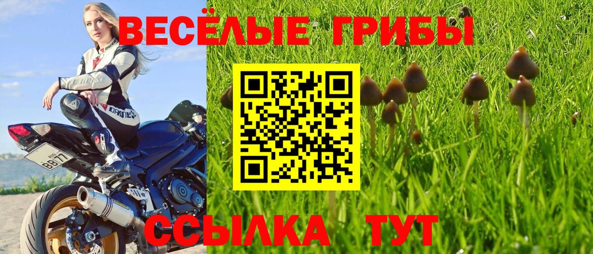 Фролово  Галлюциногенные грибы мицелий  Вход с VPN 
