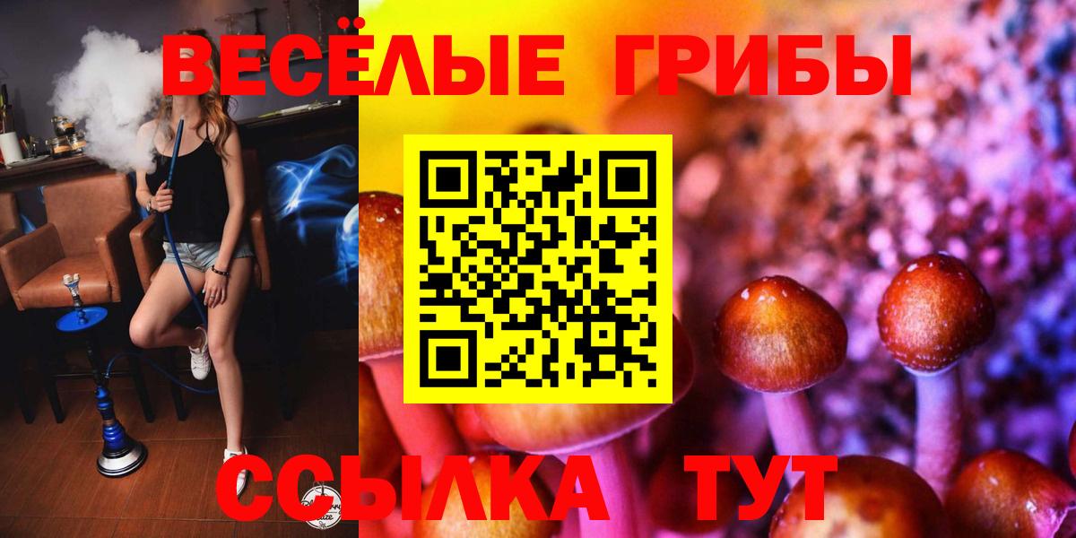 Галлюциногенные грибы Psilocybe Фролово